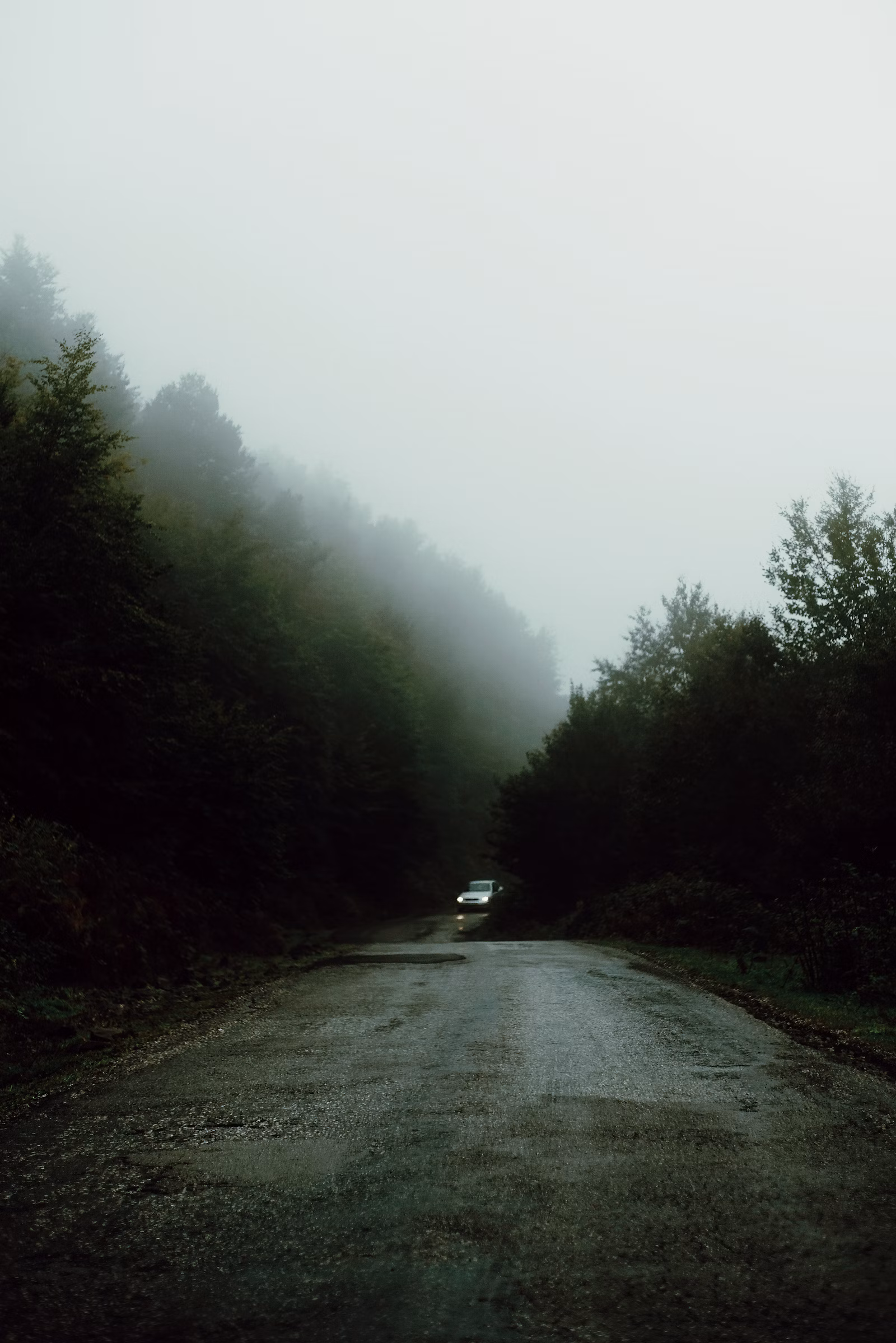 https://unsplash.com/@yusufevli